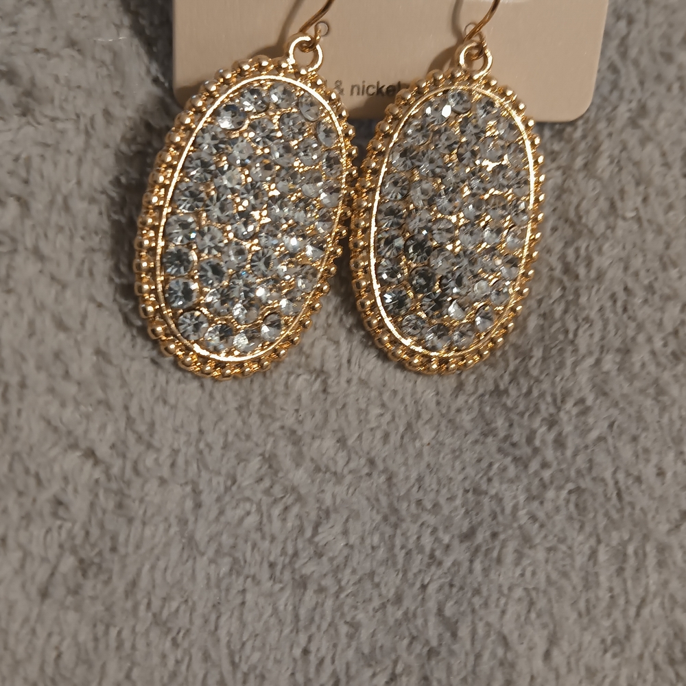 Elegant Gold and Silver Oval Earrings